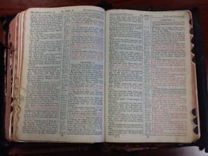 Warp and Woof Onward & Upward