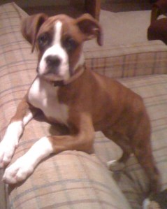 How to Prepare Yourself for God’s Blessings