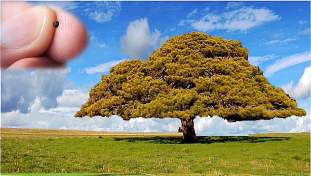 Don’t Wait for Great Faith